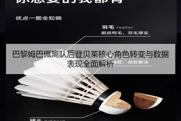 巴黎姆巴佩离队后登贝莱核心角色转变与数据表现全面解析